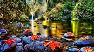 Relaxation music 2