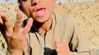 Funny video copy to shahbaz sharif 2024