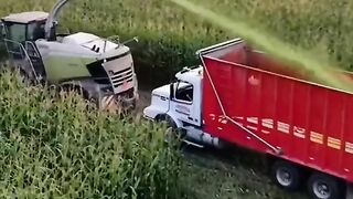 اللهم احسن خاتمتنا
