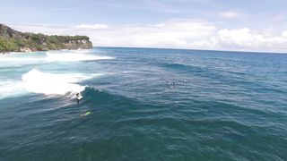 "Surfing Safari: Epic Waves Await!"