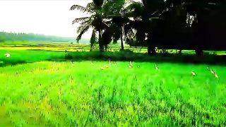 Beautiful Background