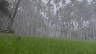 #karnataka #mangalorevibes #rain#udupi #shivamogga #tourism #sagara #karnatakatourism