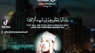 سورة فصلت Surah Fussilat