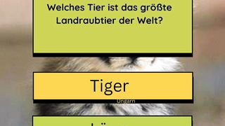 Welt der Tiere