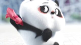 Panda Funny Video
