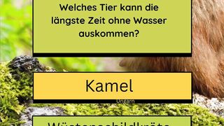 Mehr Info