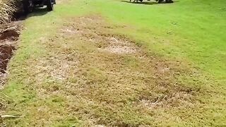 full funny video