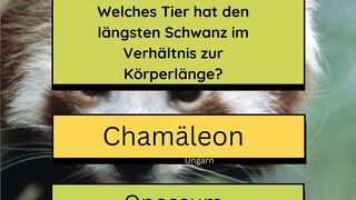 Info gewinnen