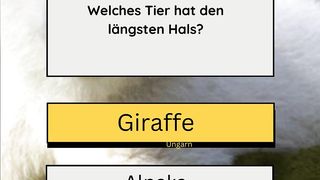 Längster Hals der Tiere