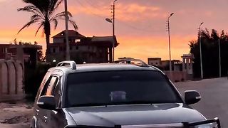 بدو سينا 511