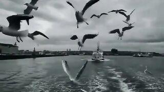 القدر الربانية