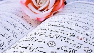بسم الله الرحمان الرحيم