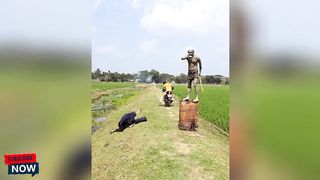 This video is very entertaining