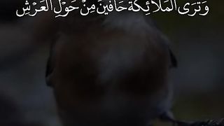 القران_الكريم