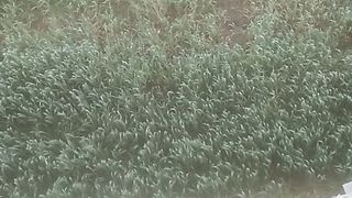 هيحصل ايه لو قفزت من المكان ده يلا نجرب