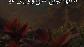 القران_الكريم