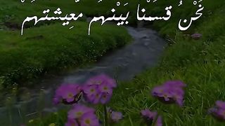 القران_الكريم
