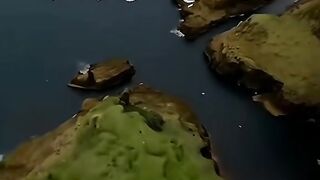 القران_الكريم
