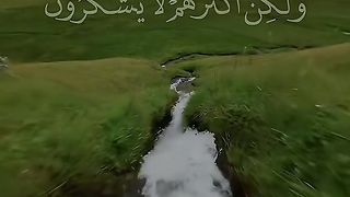القران_الكريم