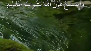 القران_الكريم