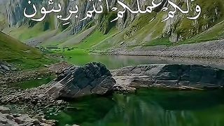 القران_الكريم