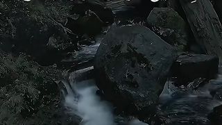 القران_الكريم