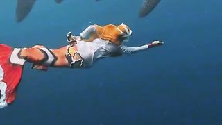 Swimming with big fish