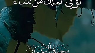 القران_الكريم و