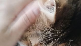 Want sleep