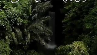 القران_الكريم