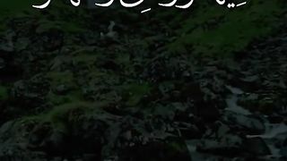 القران_الكريم سورة الرعد