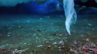 The Finger of Death is an unusual shape of sea ice