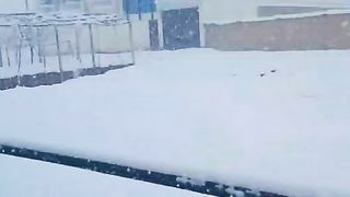 Afghanistan