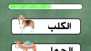 اسئله واجوبه معلومات عامه