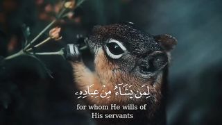 #قران الكريم