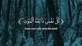 كُلُّ نَفْسٍ ذَائِقَةُ الْمَوْتِ ۖ ثُمَّ إِلَيْنَا تُرْجَعُونَ