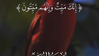 القران_الكريم