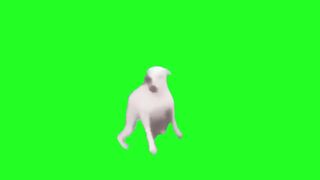 Great for montage