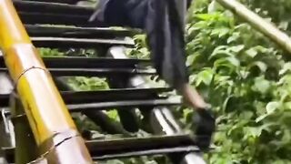Funny Compilation Video