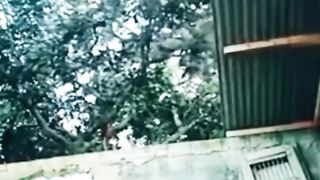 Compilation  2024Vidéo