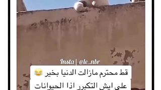 وما التوفيق الا بالله