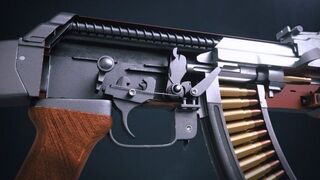 The mechanism of the rifle from the inside