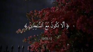 اجمل اصوات لتلاوه القران الكريم
