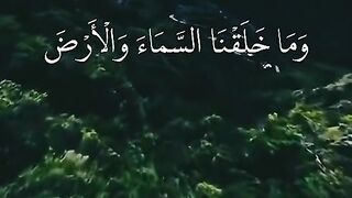 القران_الكريم