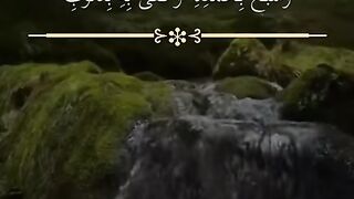 سبحان الله وبحمده سبحان الله العظيم