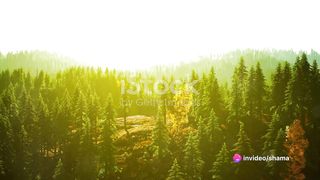 Sustainable Living A 10 Minute Guide