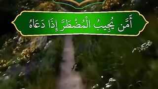 القران_الكريم