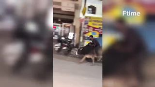 Amazing Stunts