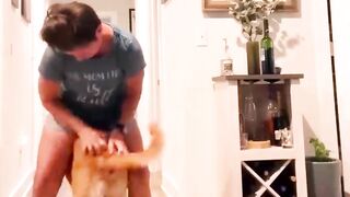 Funniest Animals Compilation 2024 Watch New Fun