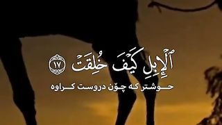 القران_الكريم